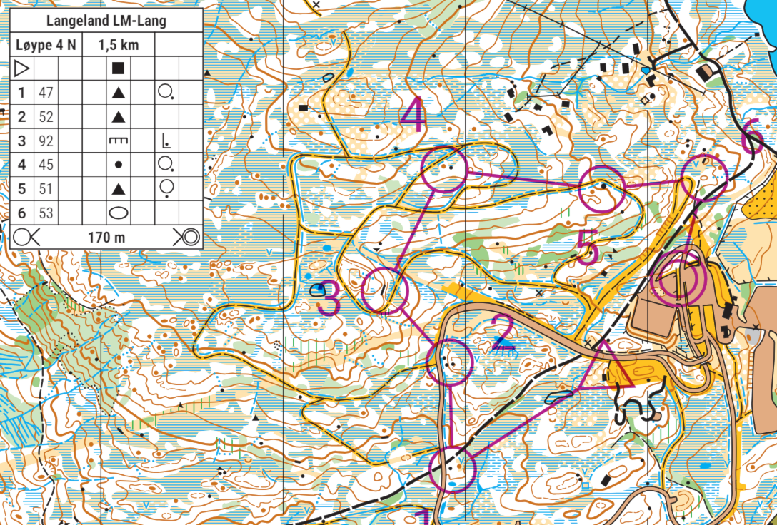 Lagsmeisterskap lang 12.6,